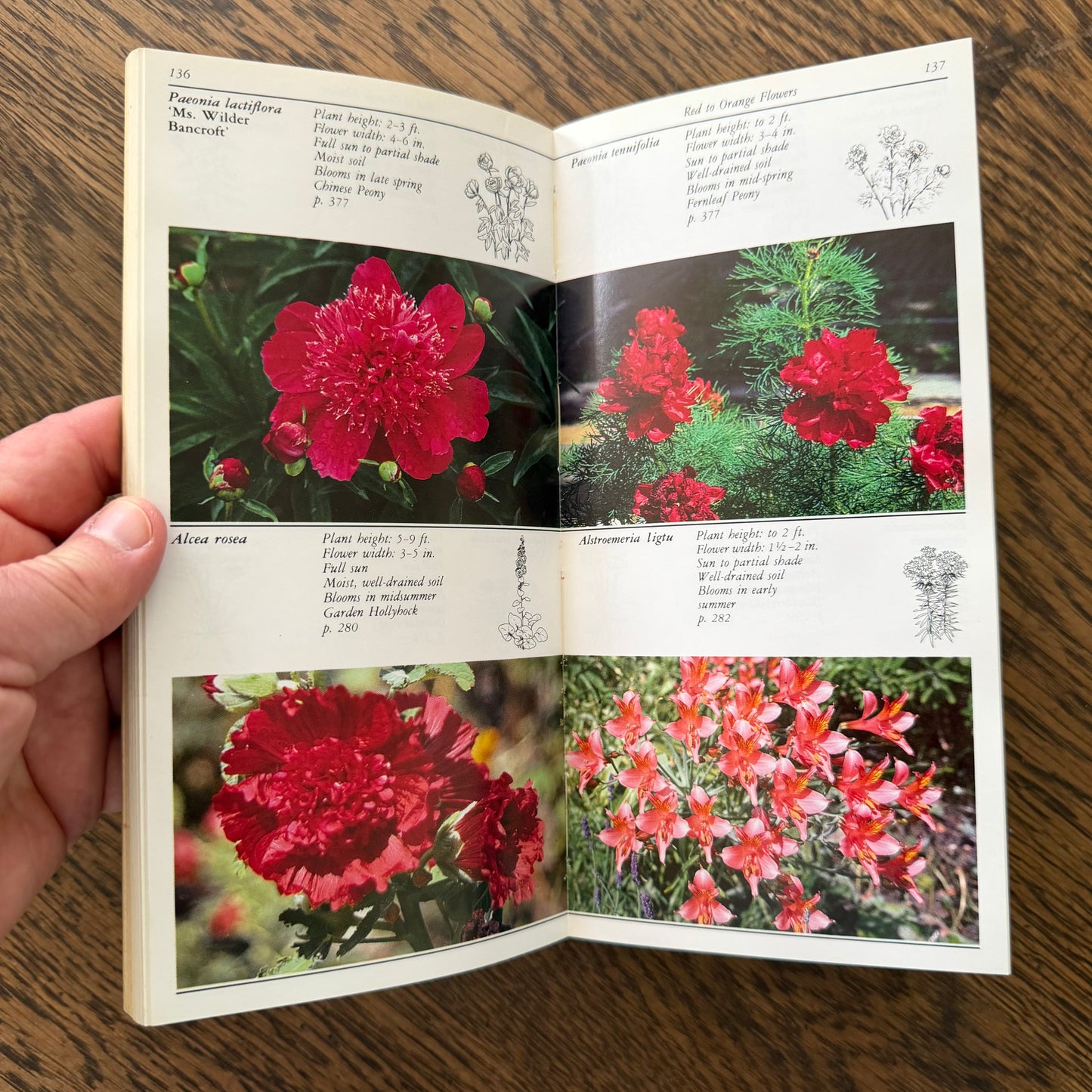 Taylor’s Guides to Gardening Set of 10 | Houghton Mifflin 1986–1996 | Bulbs Roses Herbs Houseplants Garden Design | Vintage Gardening Books