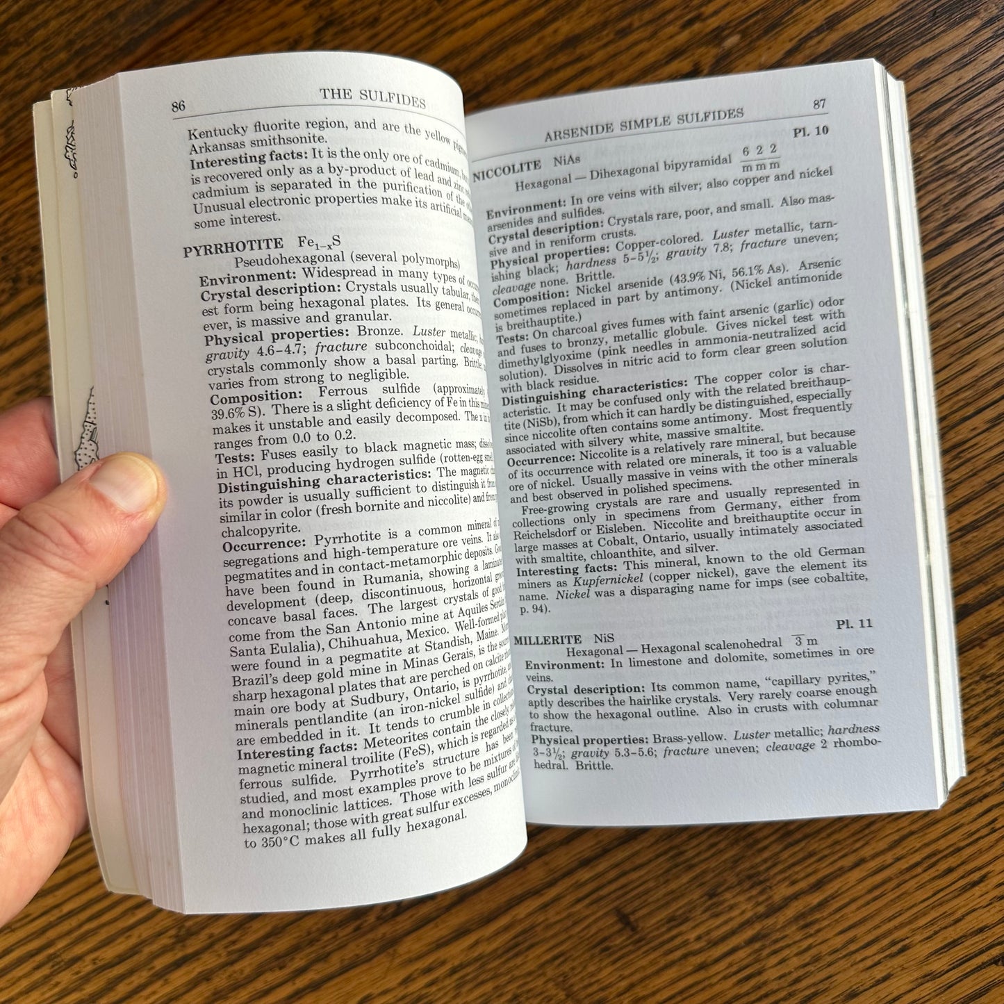 Set of 6 Vintage Peterson Field Guides | Softcover 1970s–80s Nature Books | Birds, Ferns, Wildflowers, Shells, Stars, Rocks