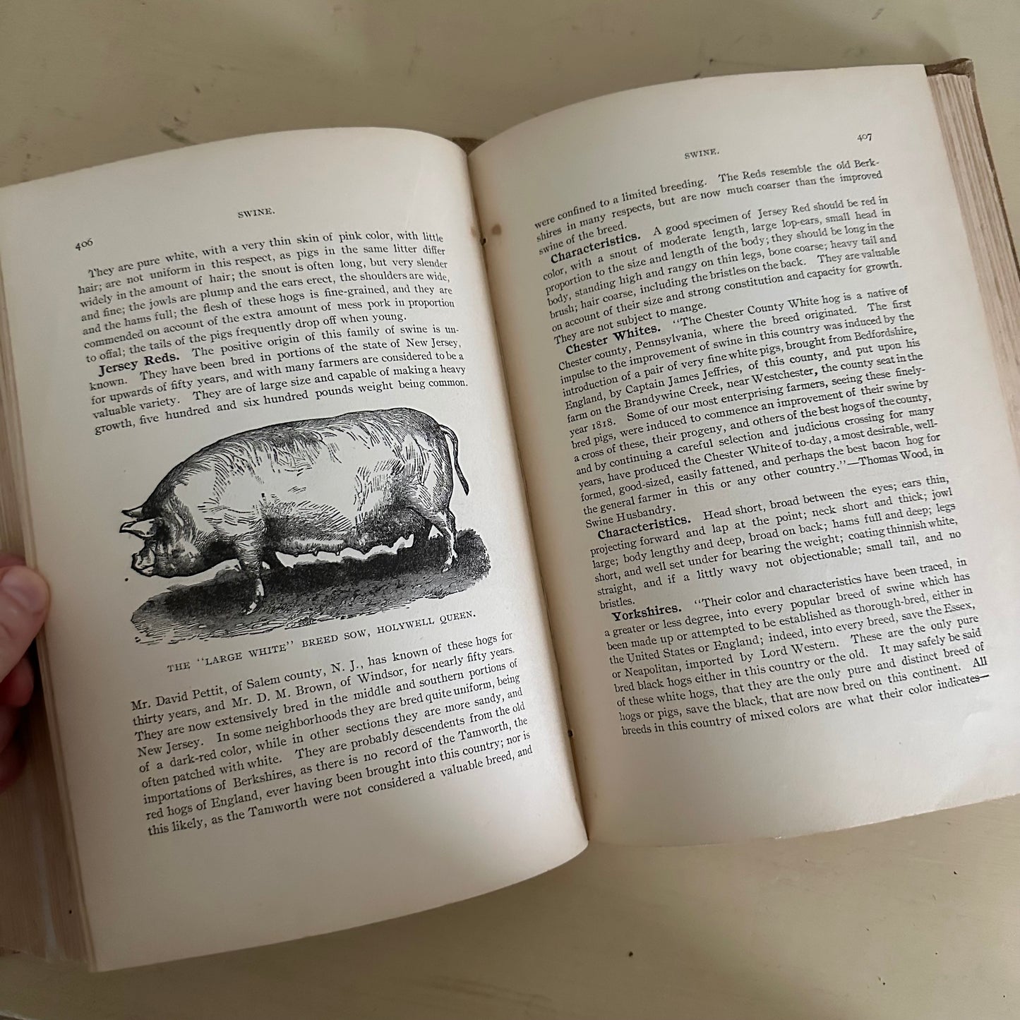 Hand-Book of Ready Reference for Farmers & Homesteaders - 1897