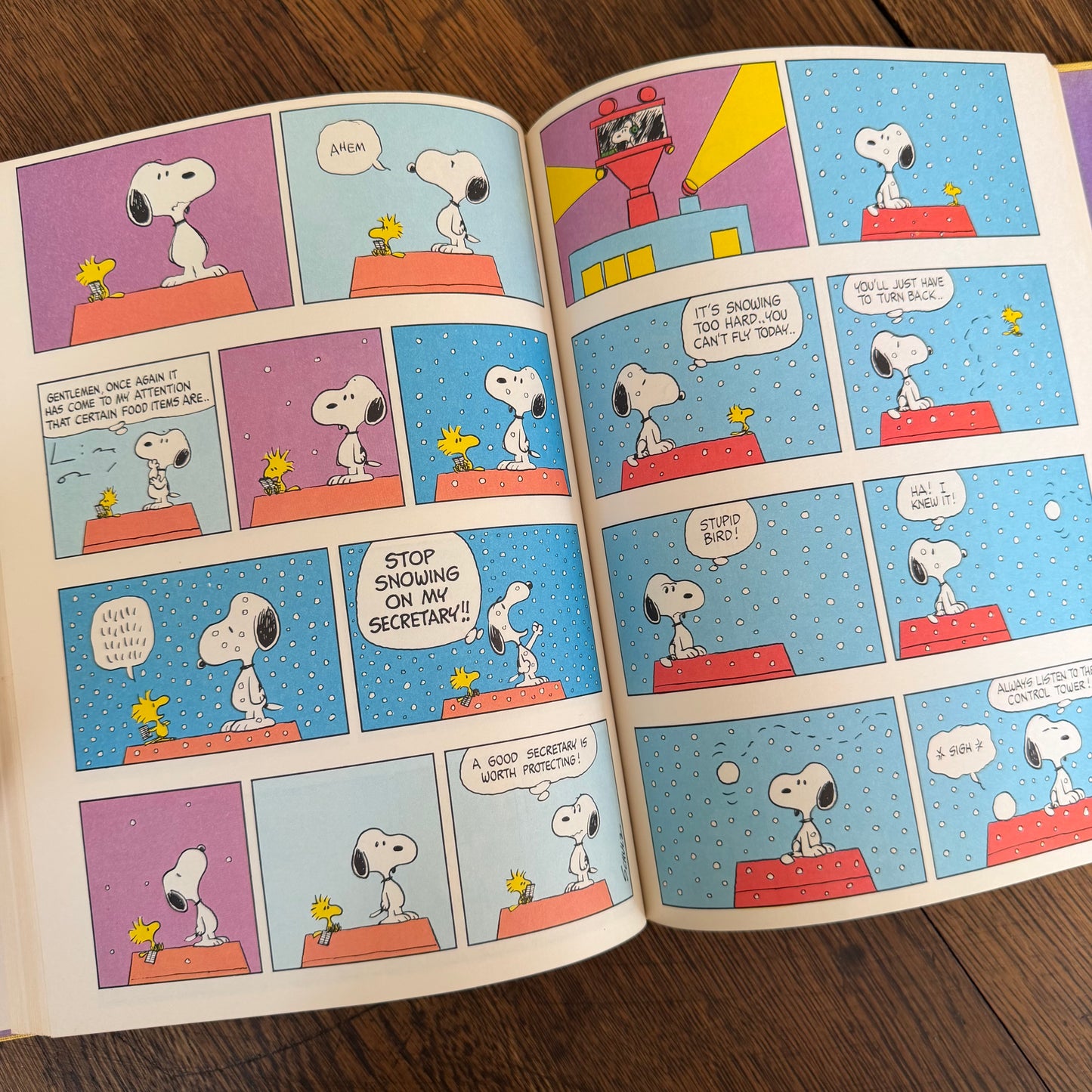 The Snoopy Festival by Charles M. Schulz 1974, Vintage Peanuts & Charlie Brown Coffee Table Book, Holt Rinehart Winston