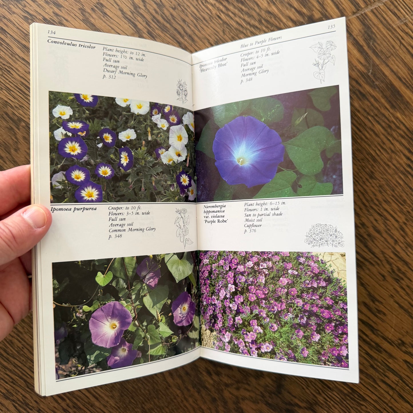 Taylor’s Guides to Gardening Set of 10 | Houghton Mifflin 1986–1996 | Bulbs Roses Herbs Houseplants Garden Design | Vintage Gardening Books