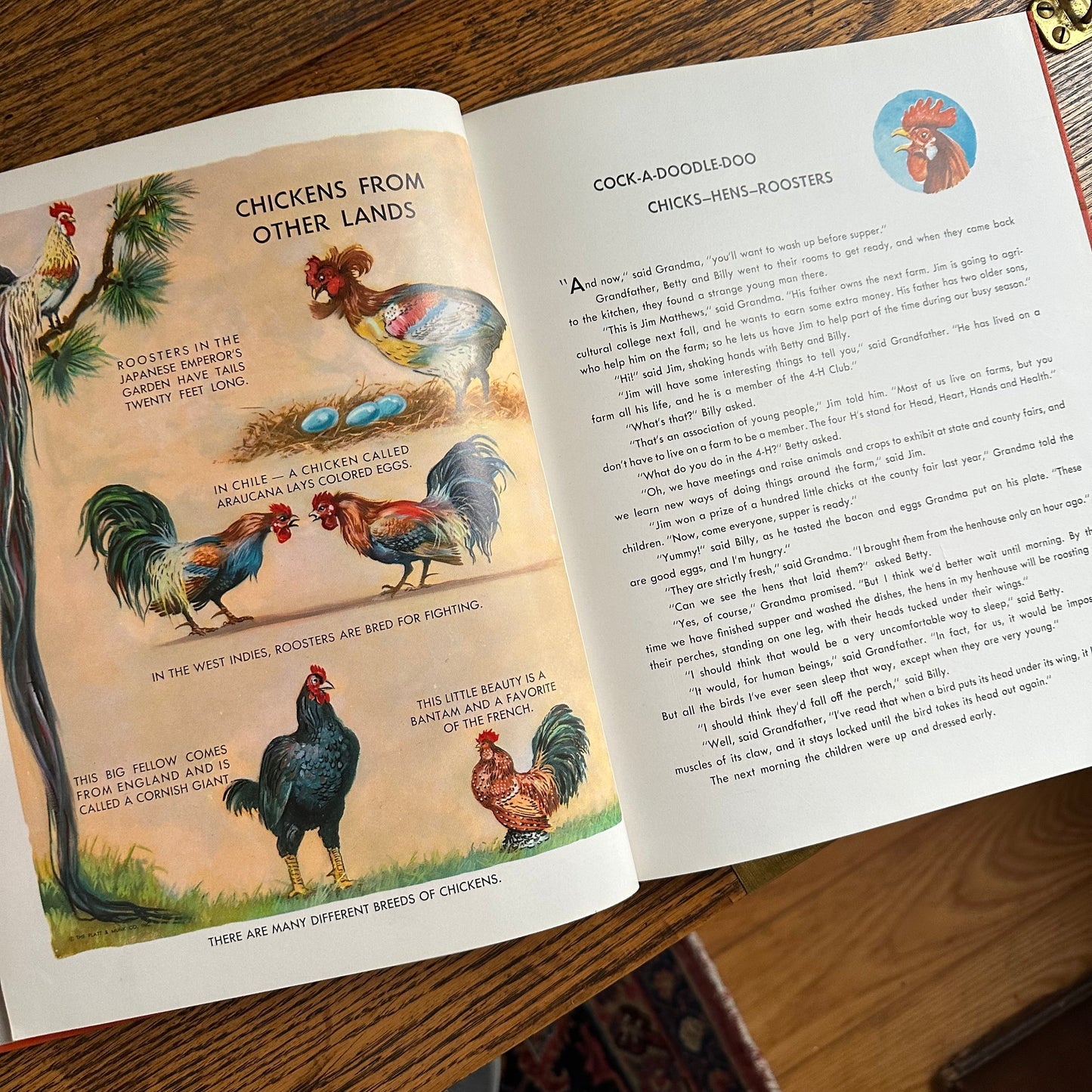 Animal Story Book - 1954