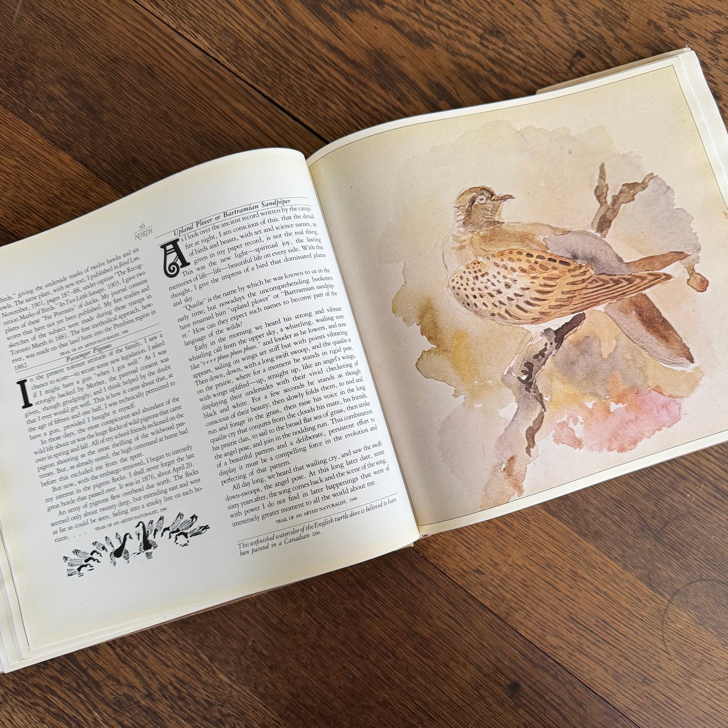 The Worlds of Ernest Thompson Seton -  1976 - First Edition - Edited by John G. Samson- Vintage Wildlife Art Nature Book