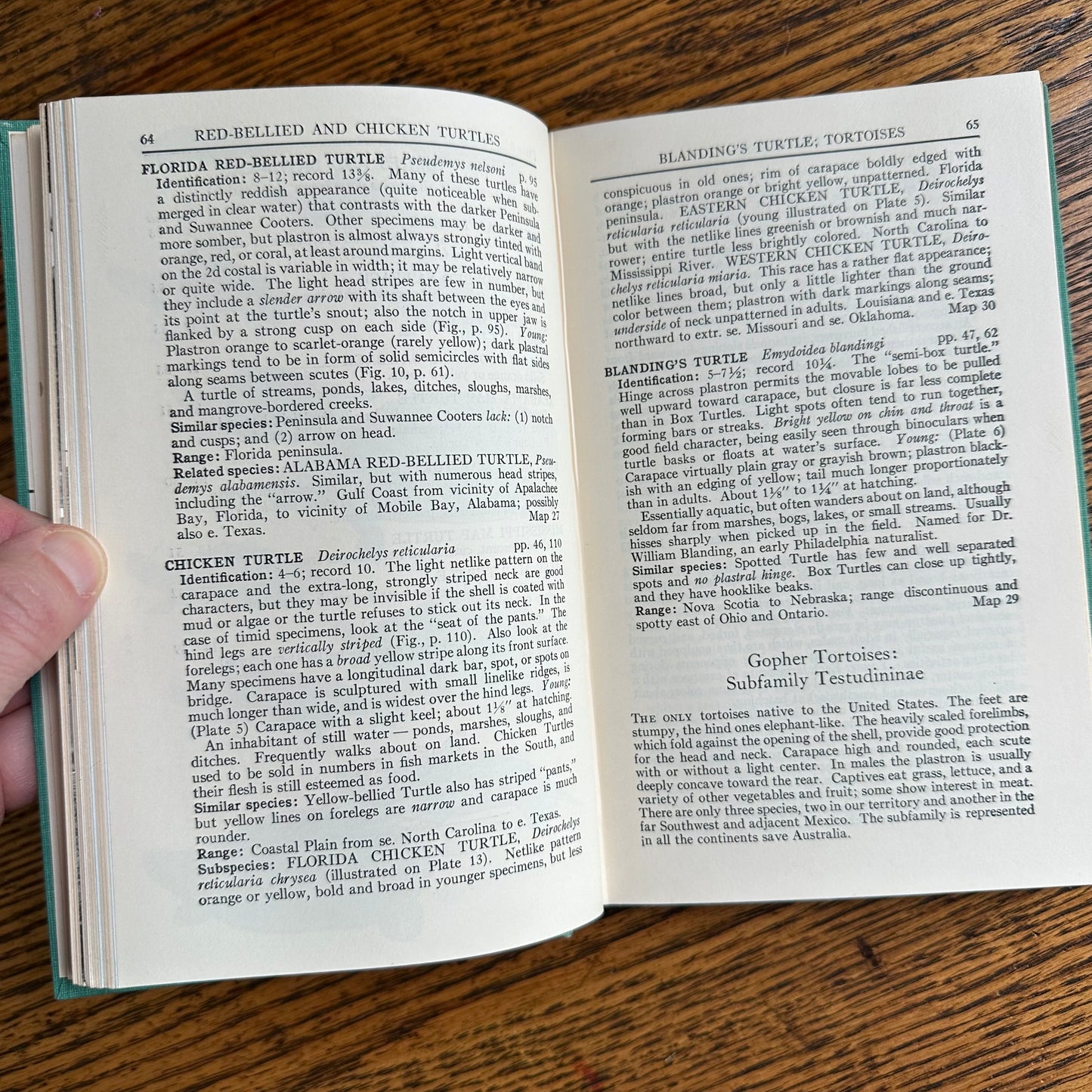 A Collection of 13 Vintage Peterson Field Guides!