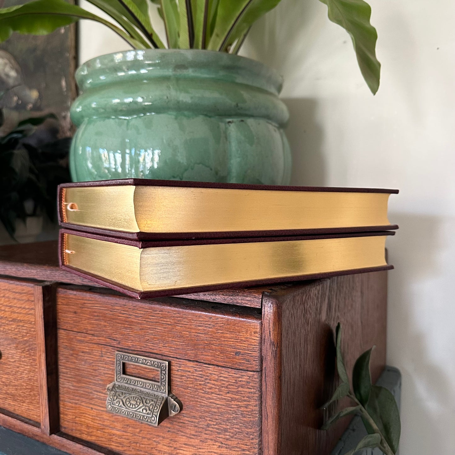 Set of 2 Slipcovered Volair Limited Editions of John James Audubon’s Classics - 1977