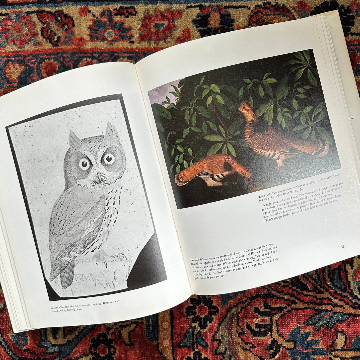 An American Bestiary, 1979