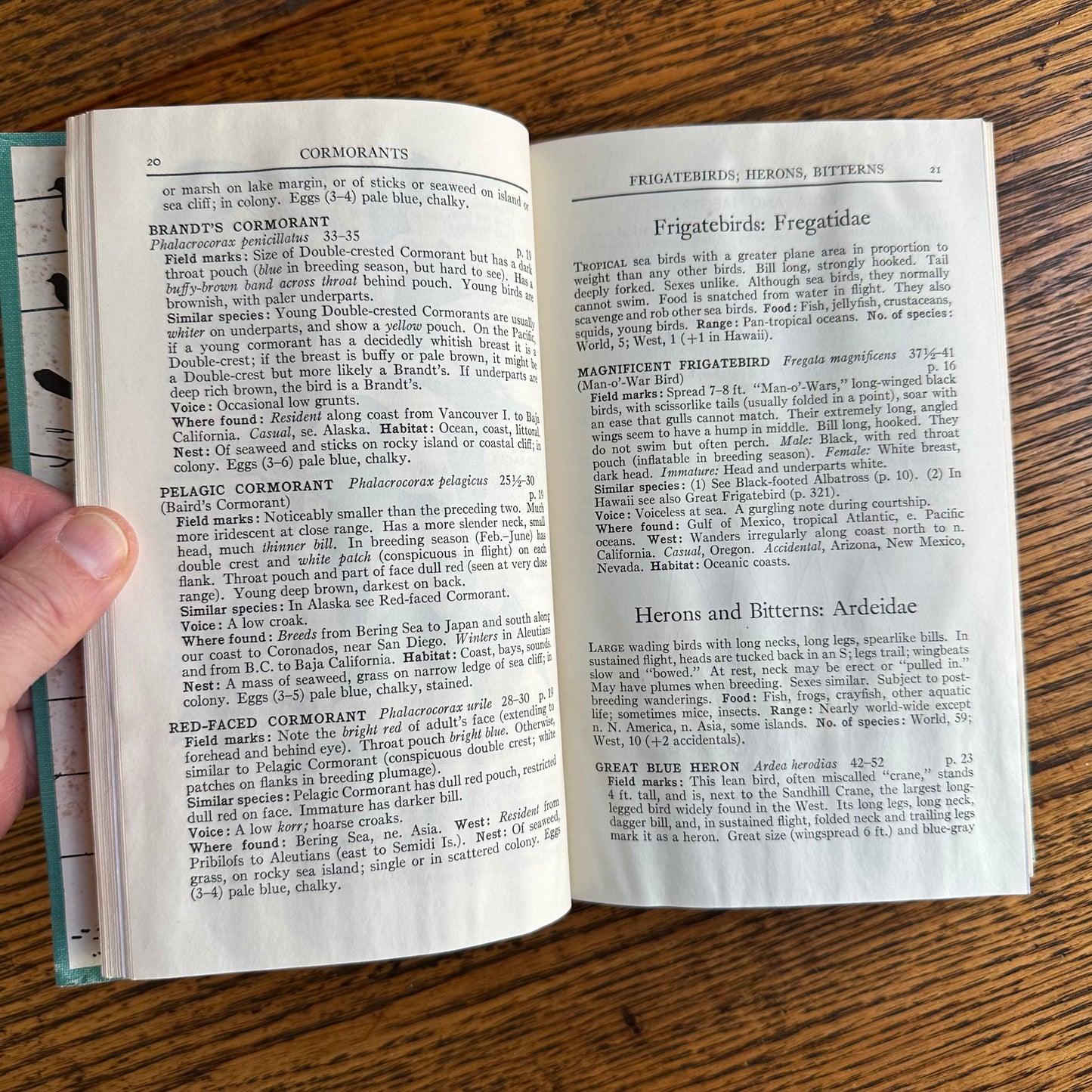 A Collection of 13 Vintage Peterson Field Guides!