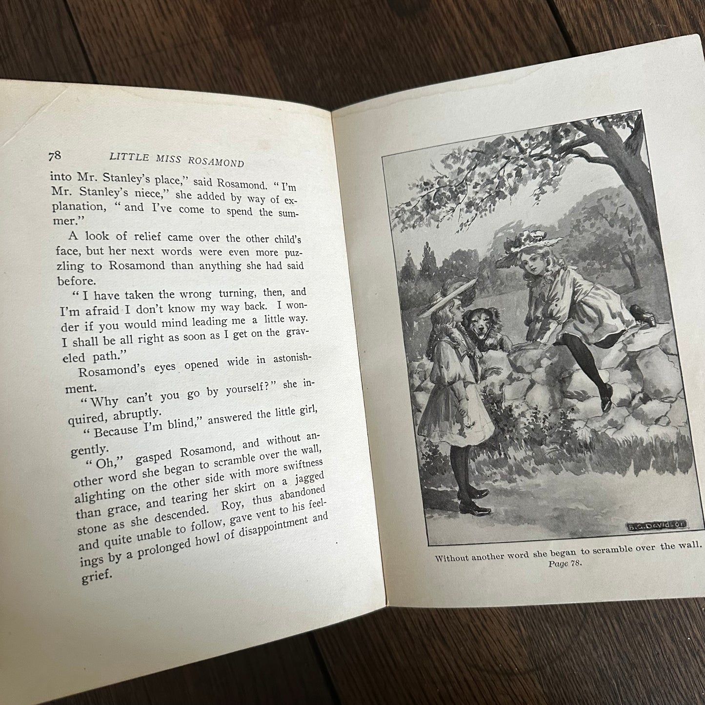 Set of 8 Nina Rhoades Antique Children’s Books (1901–1914) — Illustrated by Bertha Davidson Hoxie — Lothrop Lee & Shepard — Brick House Series
