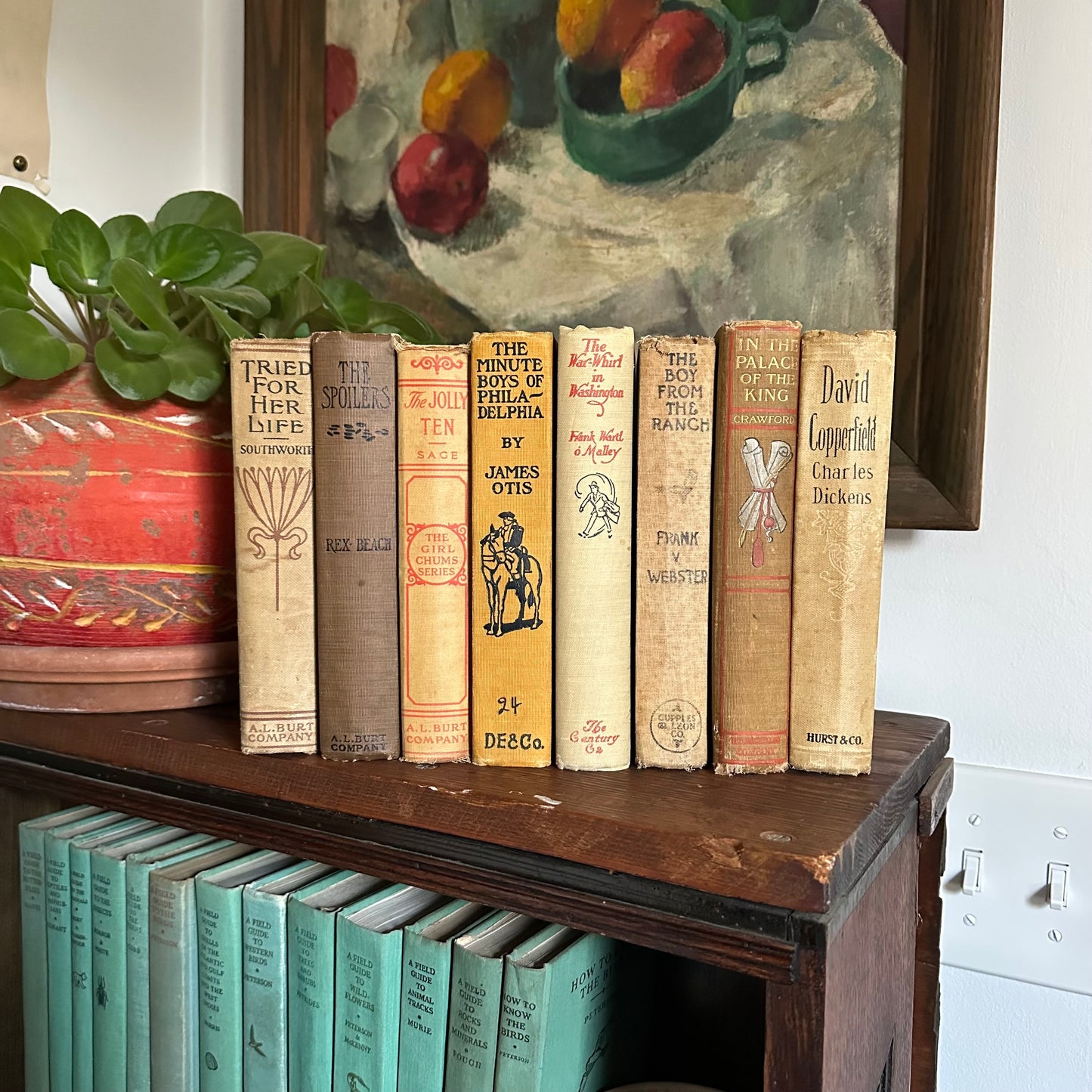 Antique Fiction Book Collection - 8 Titles