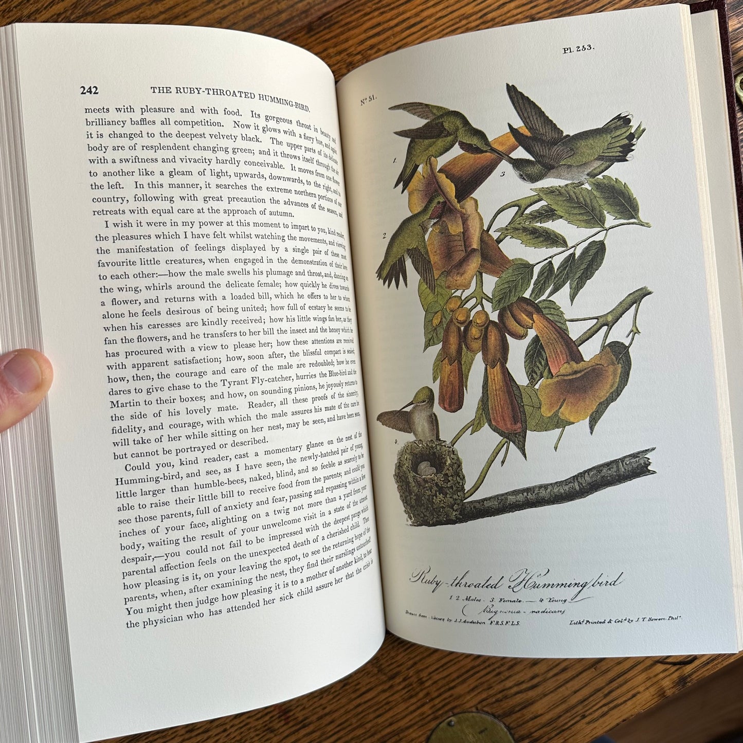 Set of 2 Slipcovered Volair Limited Editions of John James Audubon’s Classics - 1977