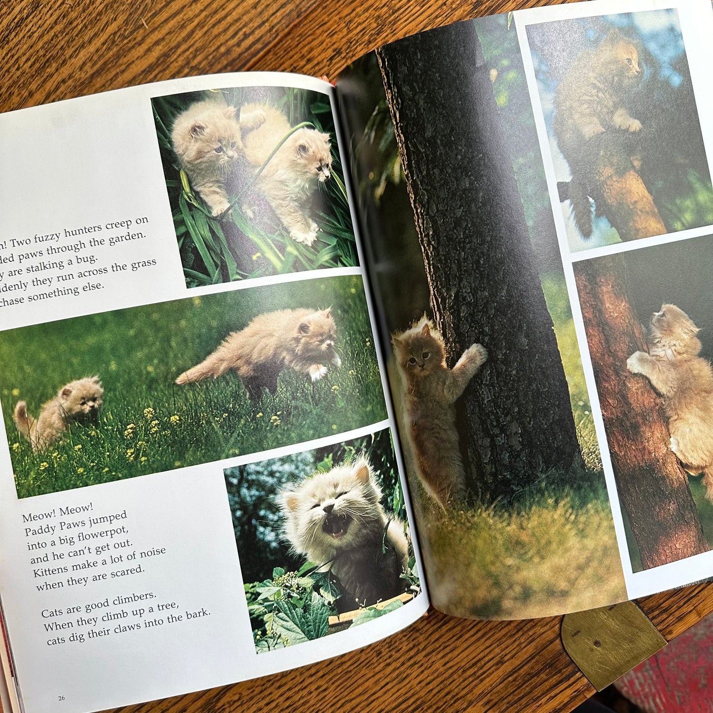 A Set of 15 Vintage 1970s Books for Young Explorers from NatGeo!