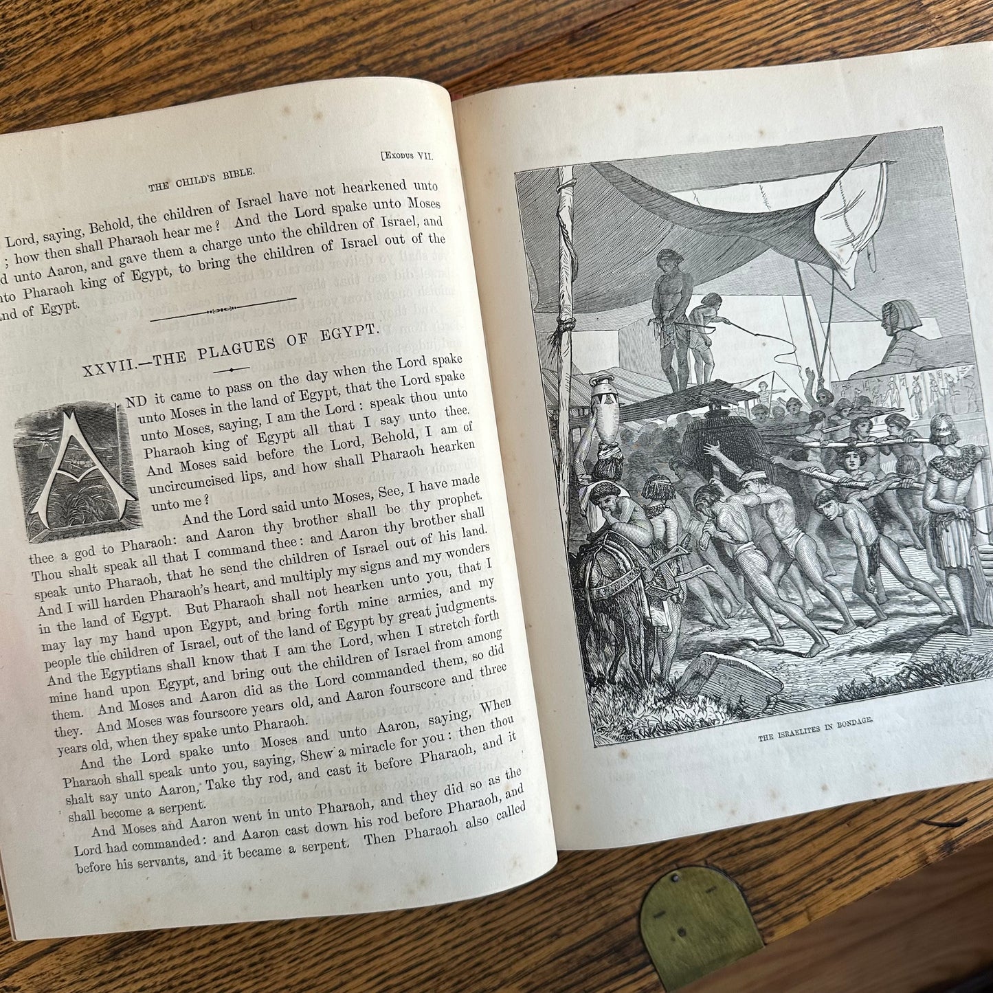 19th Century Child’s Bible