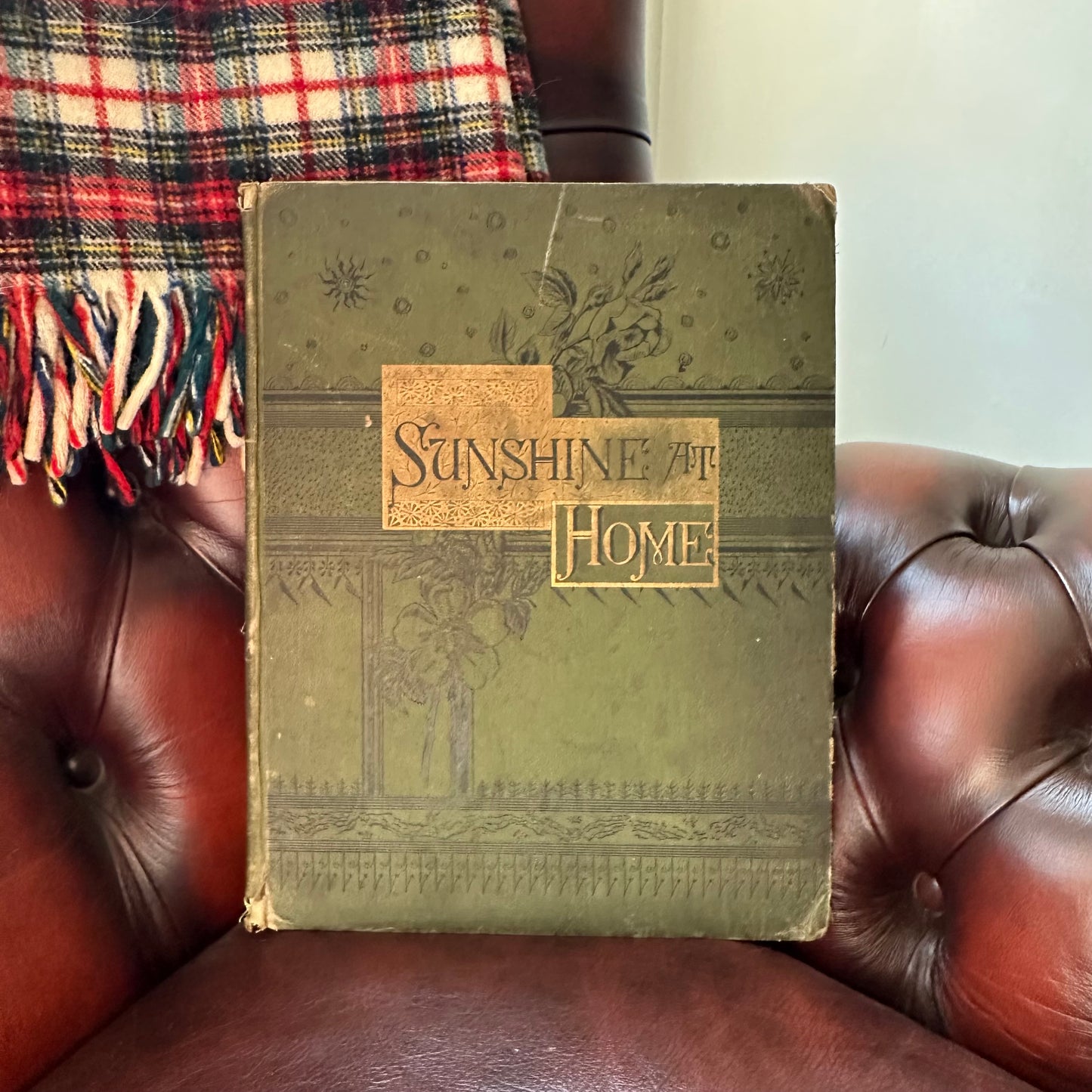 Sunshine at Home - 1883
