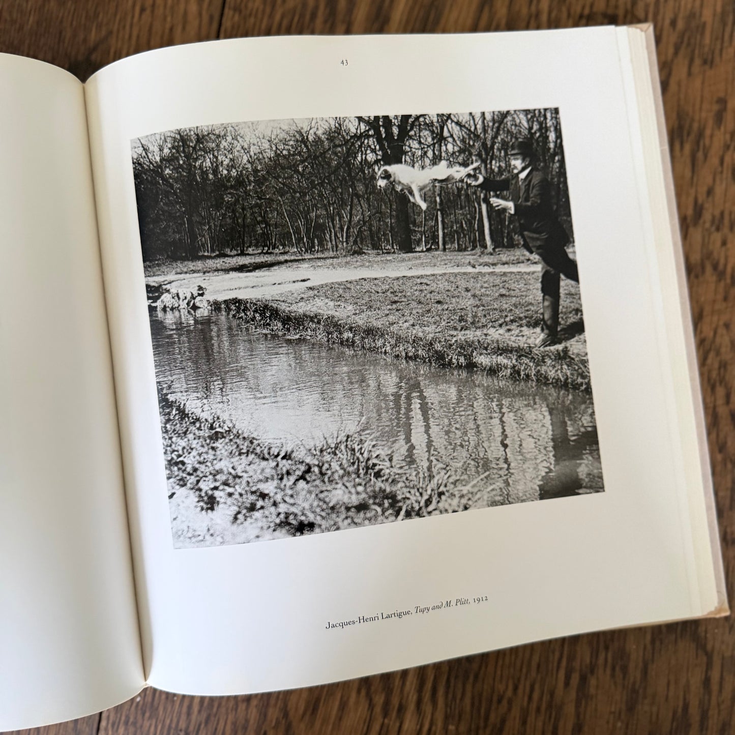The Dog Observed: Photographs 1844-1983 by Ruth Silverman - Vintage Dog Photography Book