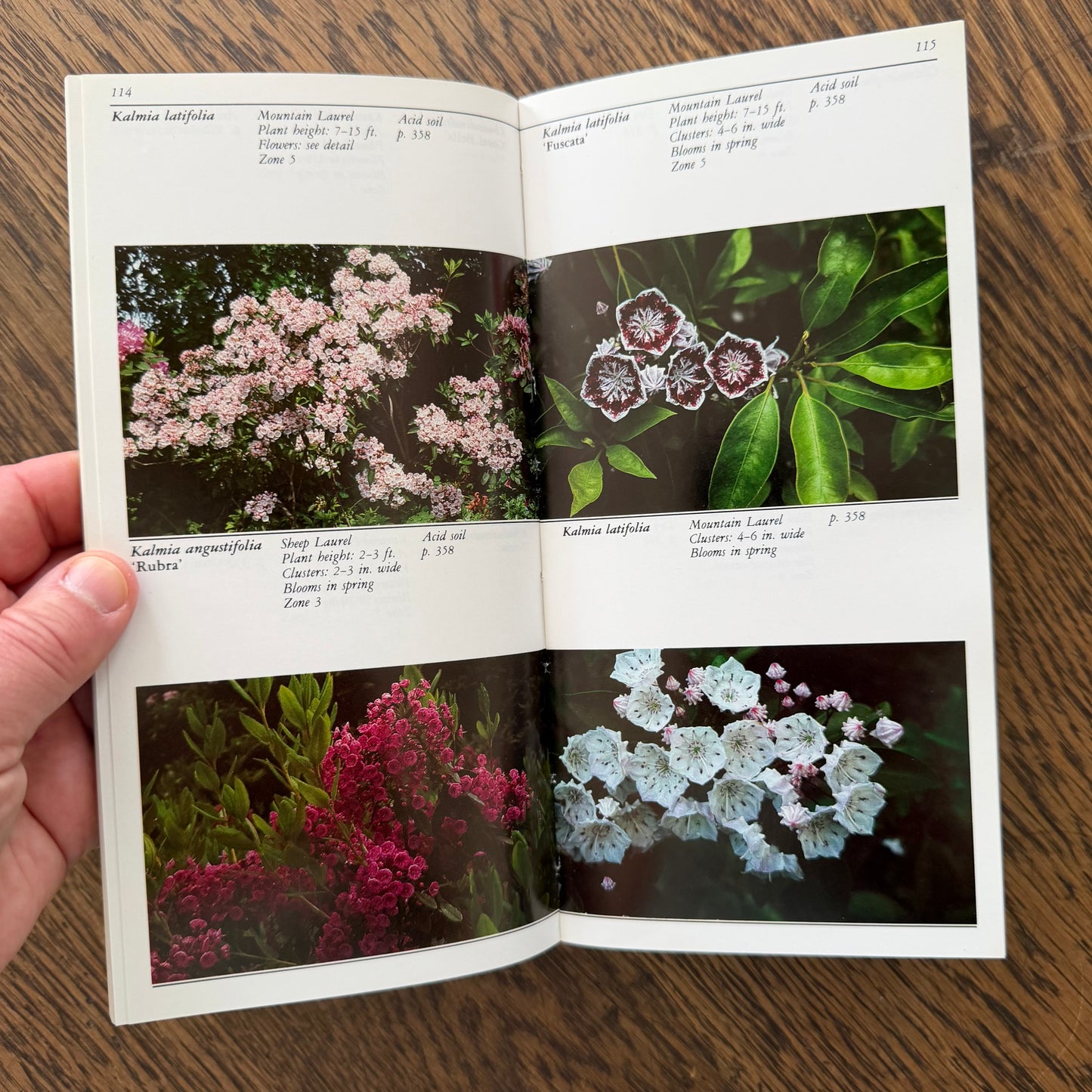 Taylor’s Guides to Gardening Set of 10 | Houghton Mifflin 1986–1996 | Bulbs Roses Herbs Houseplants Garden Design | Vintage Gardening Books