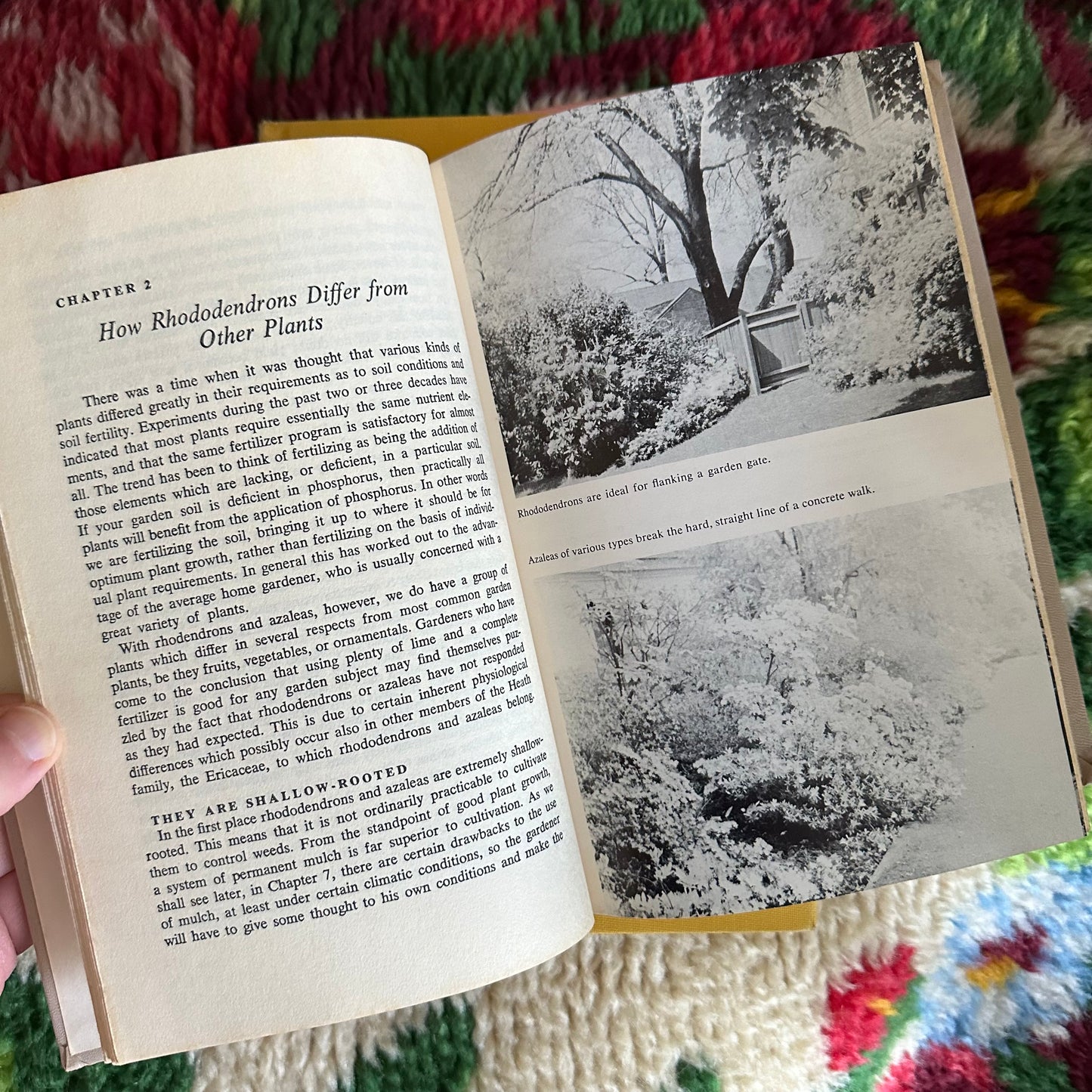 Set of 5 Vintage Plant Books!