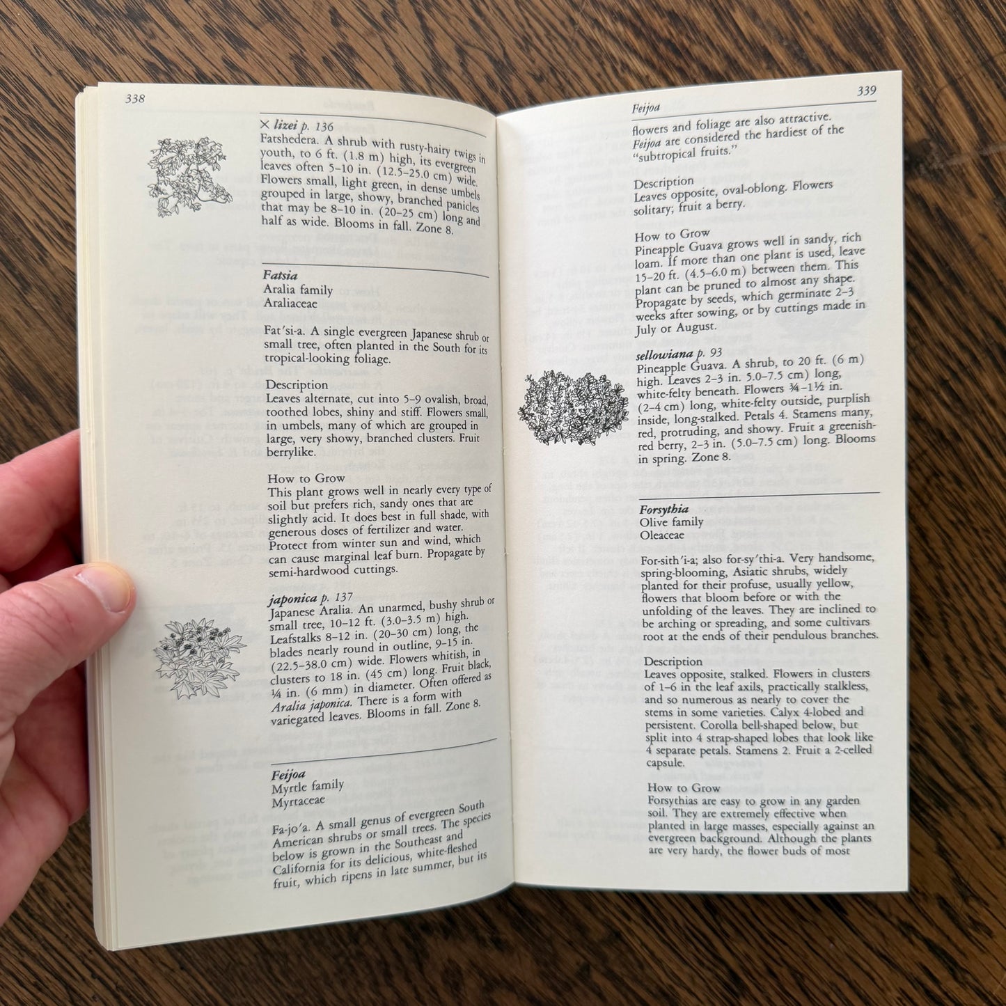 Taylor’s Guides to Gardening Set of 10 | Houghton Mifflin 1986–1996 | Bulbs Roses Herbs Houseplants Garden Design | Vintage Gardening Books