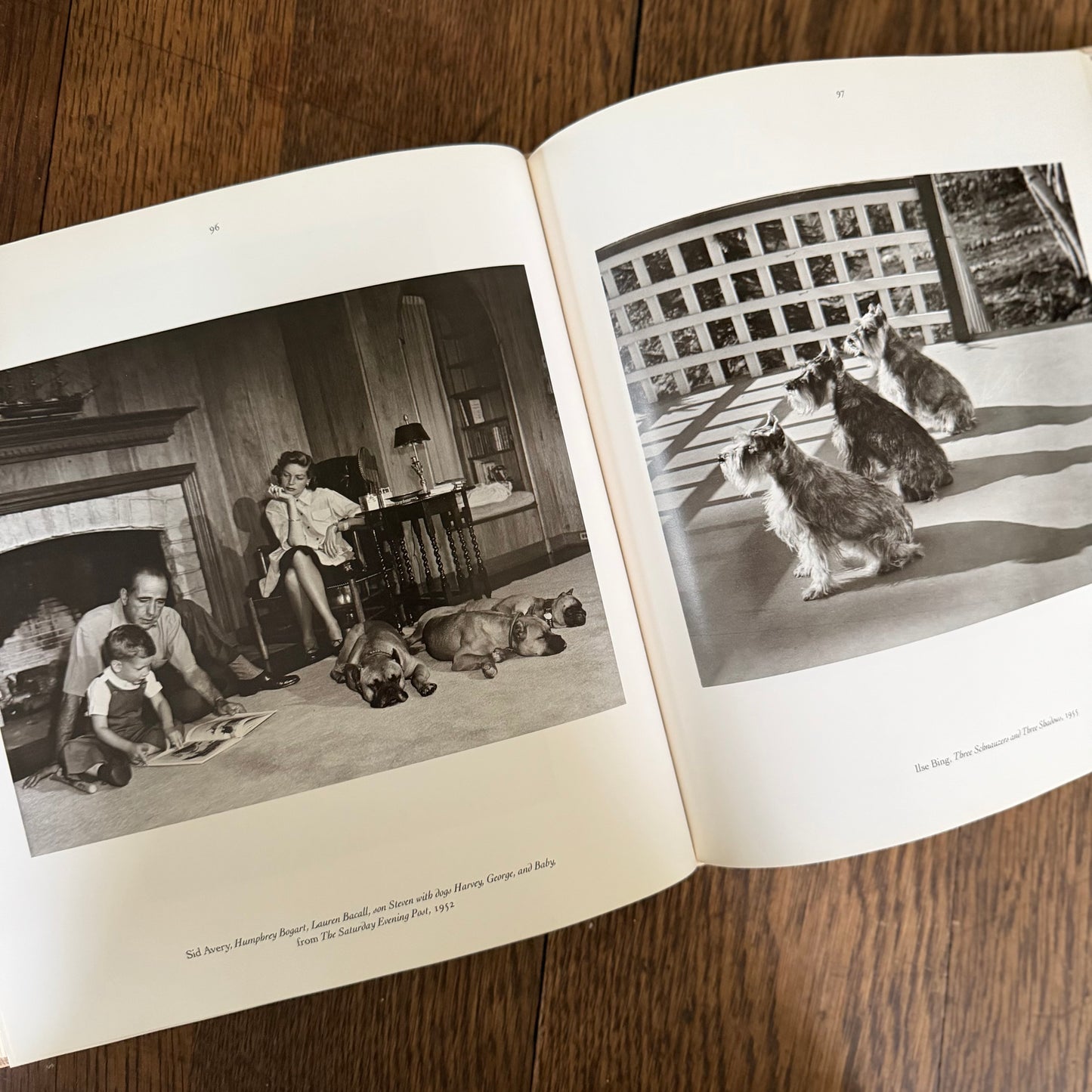 The Dog Observed: Photographs 1844-1983 by Ruth Silverman - Vintage Dog Photography Book