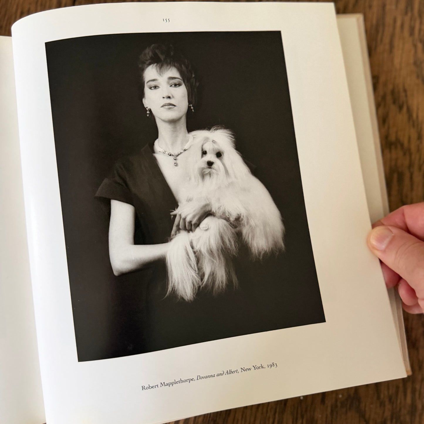 The Dog Observed: Photographs 1844-1983 by Ruth Silverman - Vintage Dog Photography Book
