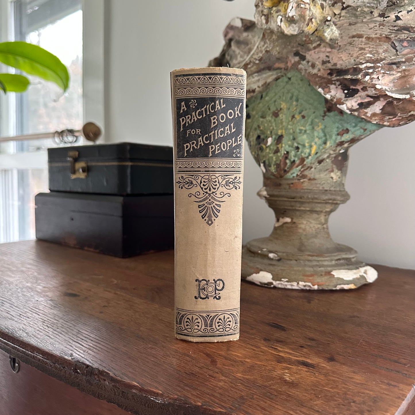 A Practical Book for Practical People - 1895