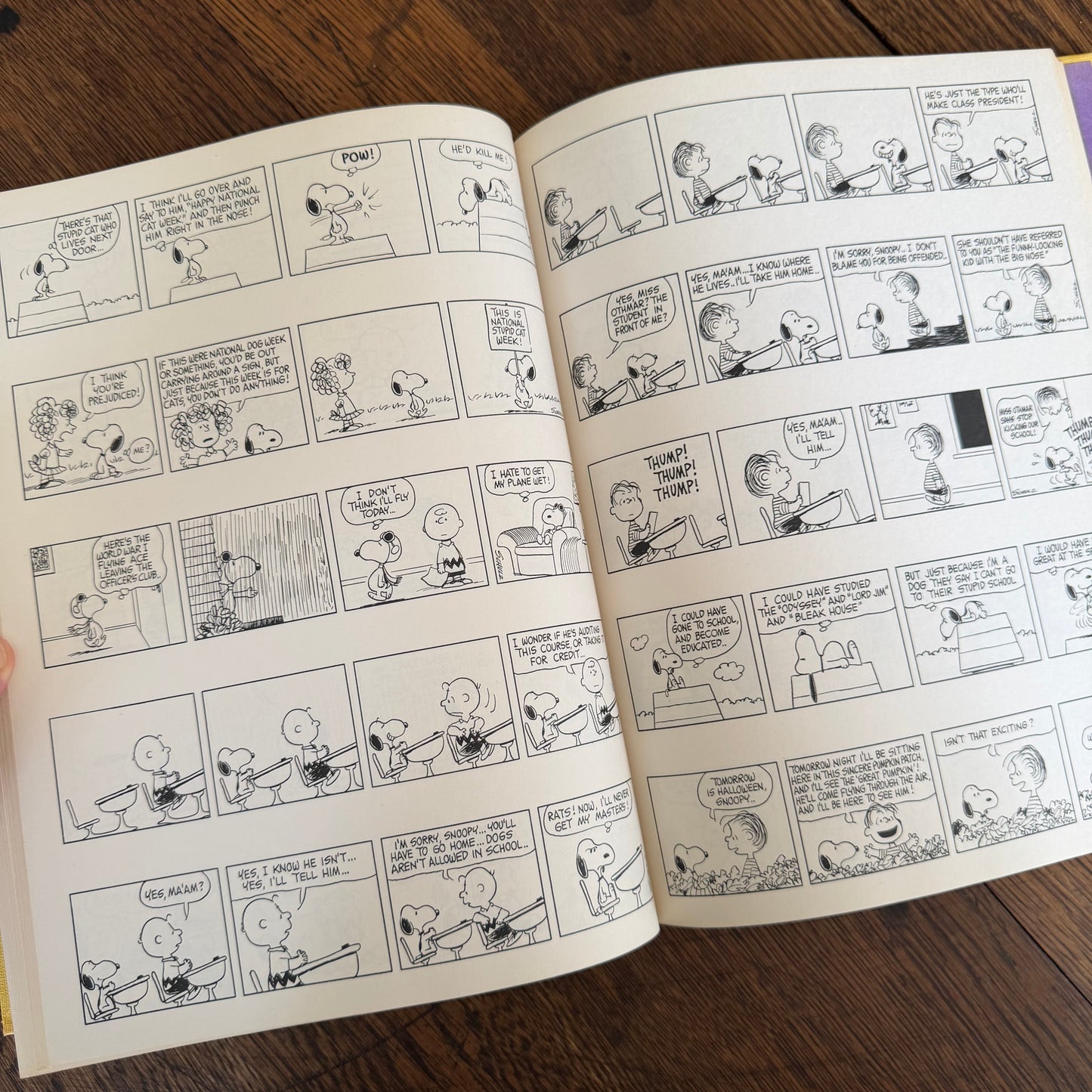The Snoopy Festival by Charles M. Schulz 1974, Vintage Peanuts & Charlie Brown Coffee Table Book, Holt Rinehart Winston
