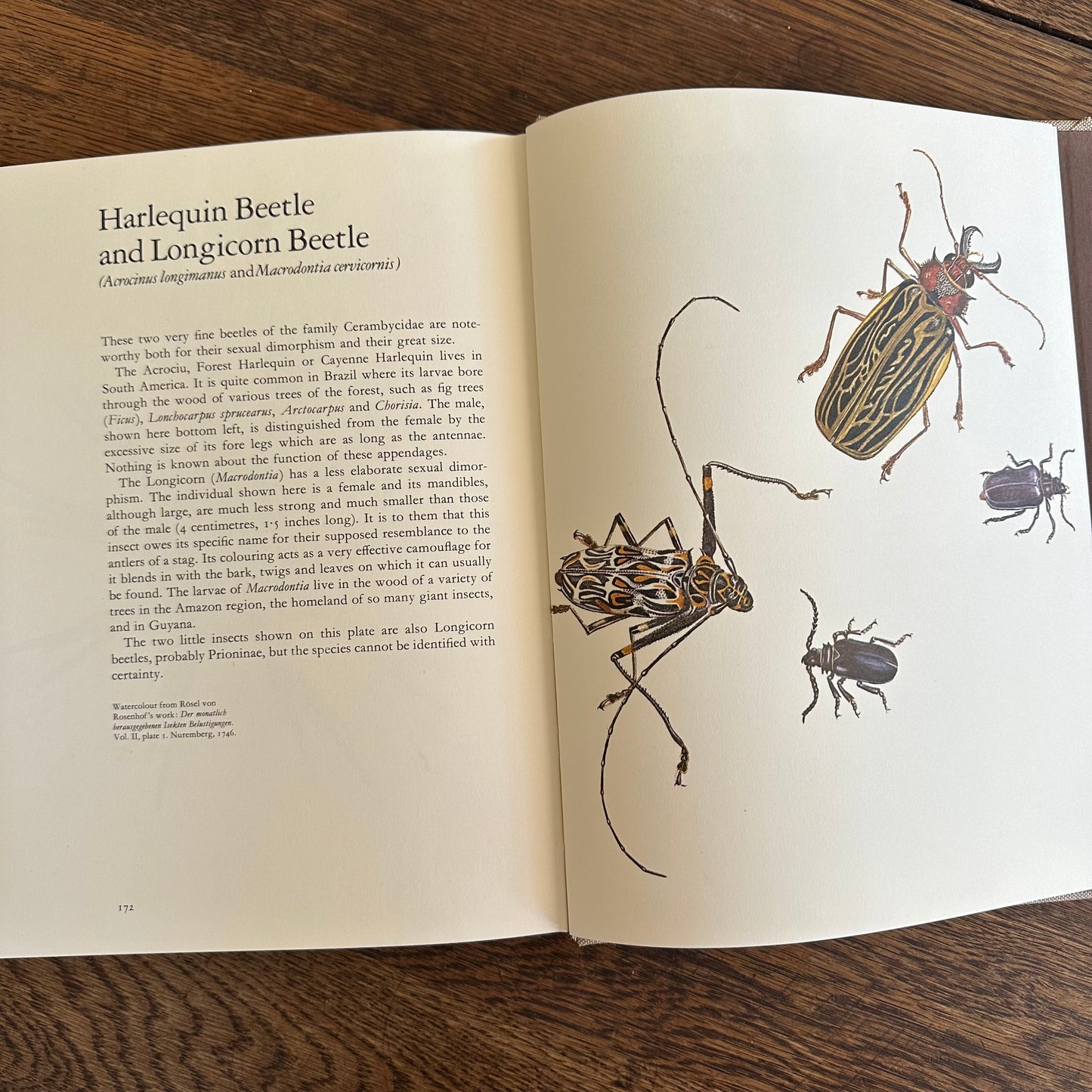 Larousse Animal Portraits - 1st US Edition - 1977