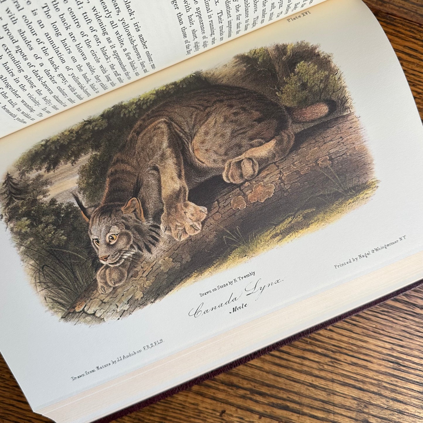 Set of 2 Slipcovered Volair Limited Editions of John James Audubon’s Classics - 1977