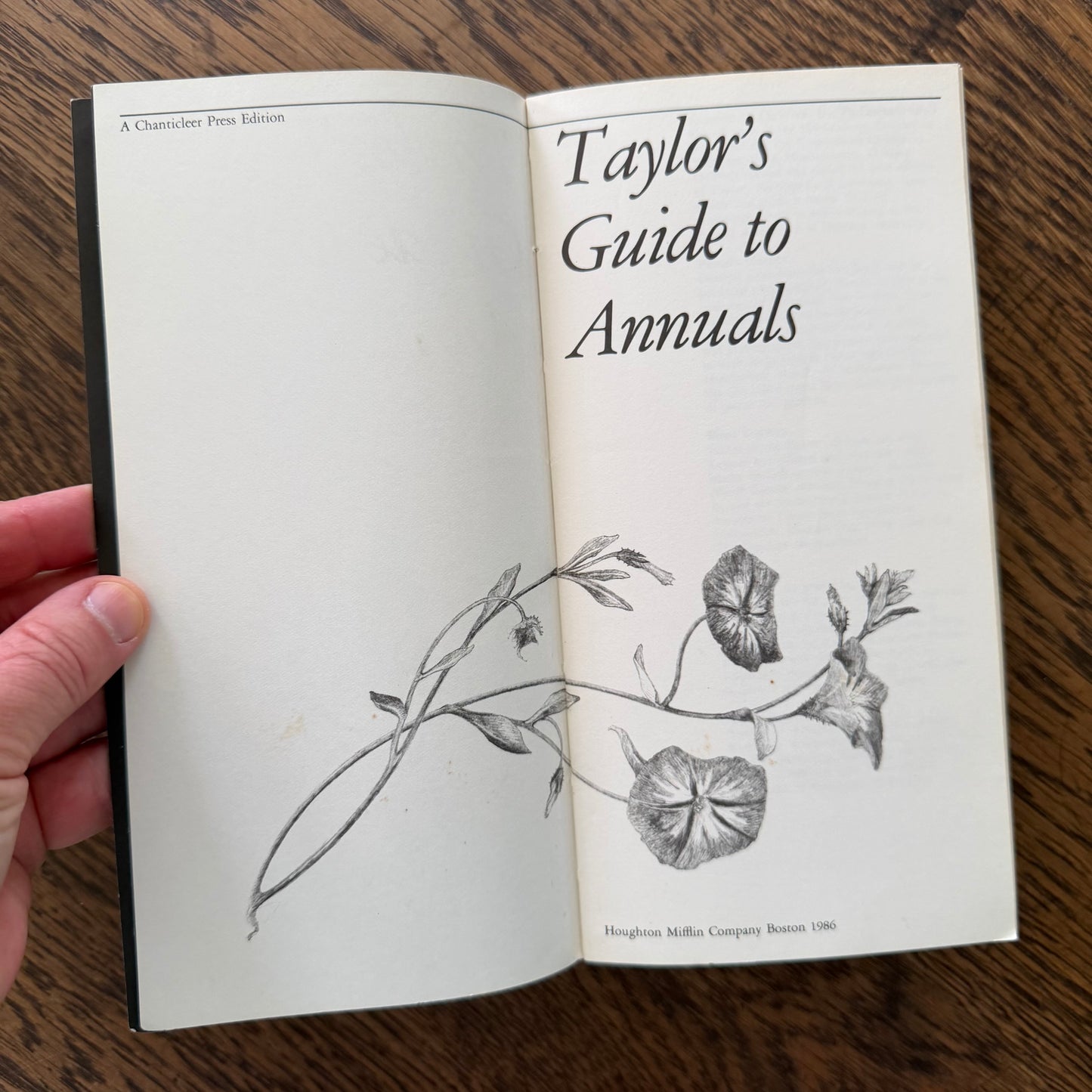 Taylor’s Guides to Gardening Set of 10 | Houghton Mifflin 1986–1996 | Bulbs Roses Herbs Houseplants Garden Design | Vintage Gardening Books