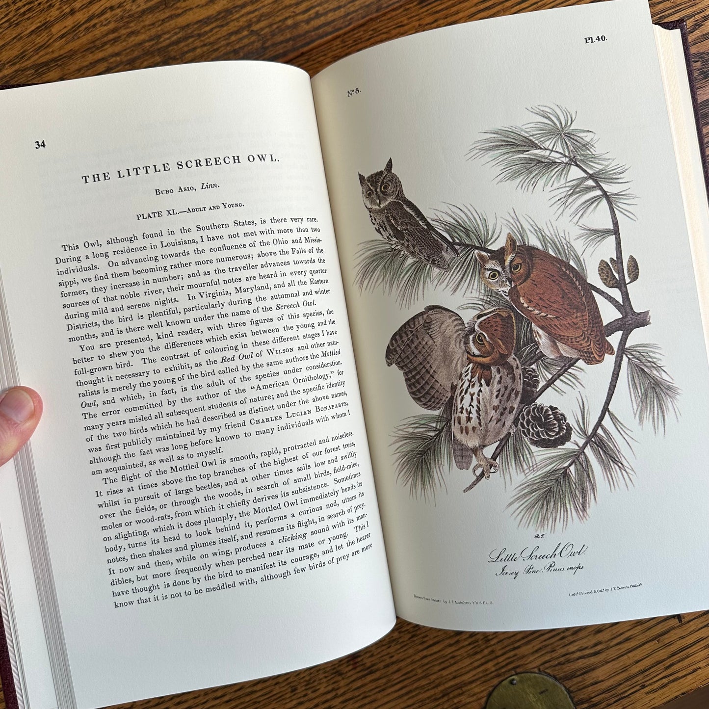 Set of 2 Slipcovered Volair Limited Editions of John James Audubon’s Classics - 1977