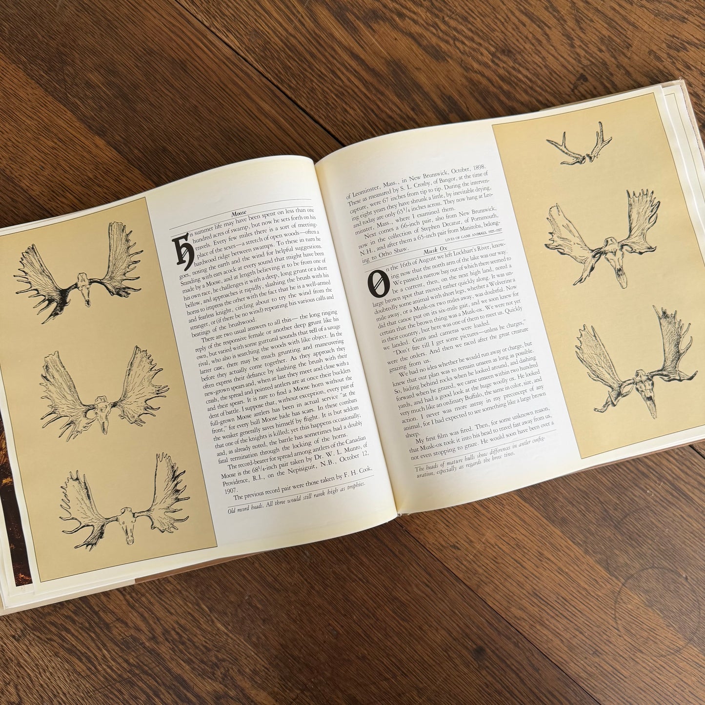 The Worlds of Ernest Thompson Seton -  1976 - First Edition - Edited by John G. Samson- Vintage Wildlife Art Nature Book