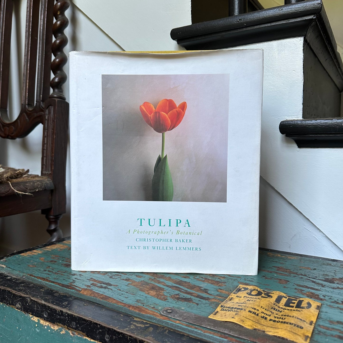 Tulipa: A Photographer’s Botanical, 1999