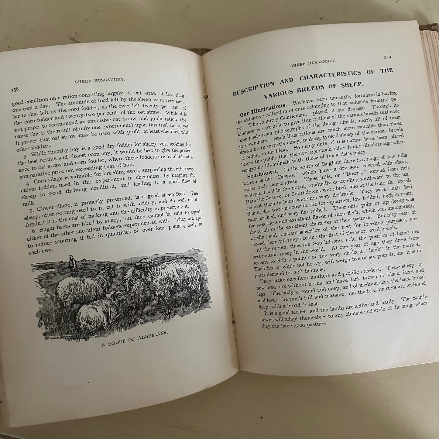 Hand-Book of Ready Reference for Farmers & Homesteaders - 1897