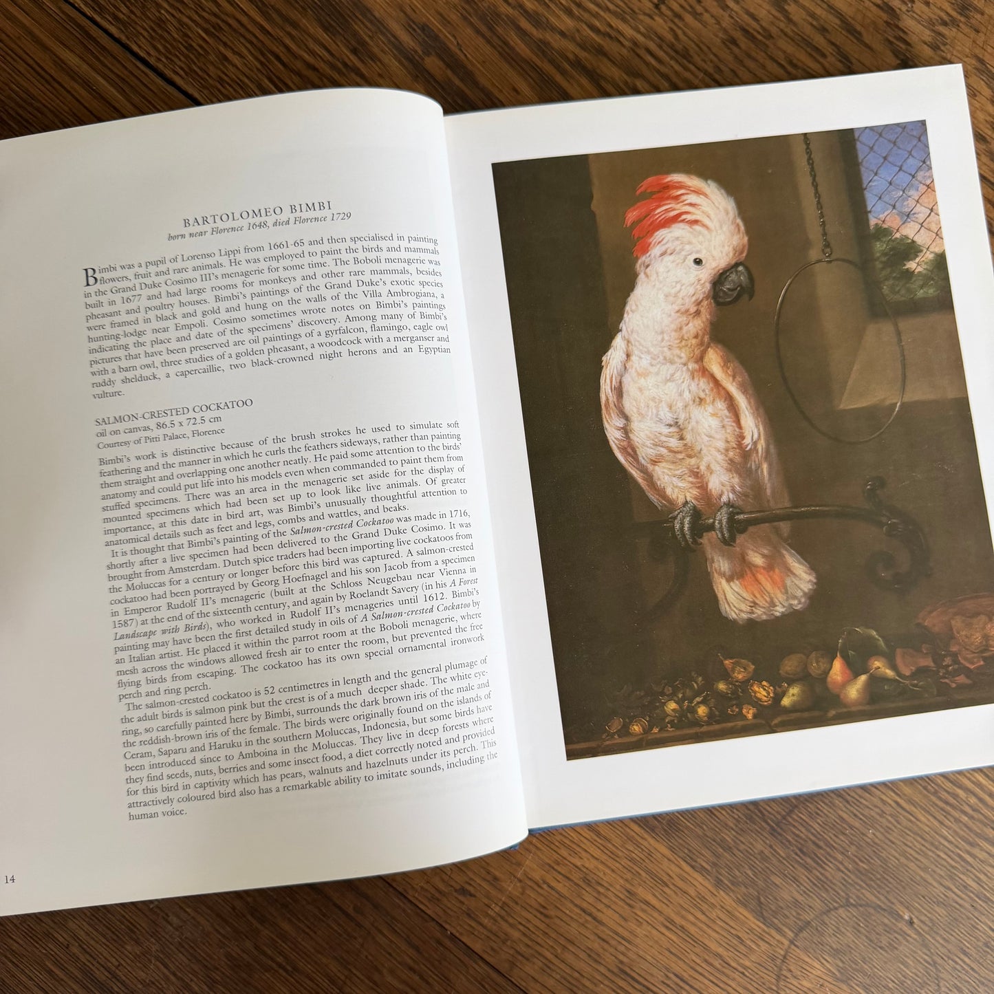 Bird Painting - The Eighteenth Century by Christine E Jackson, 1994: Antique Collectors Club, Vintage Coffee Table Book
