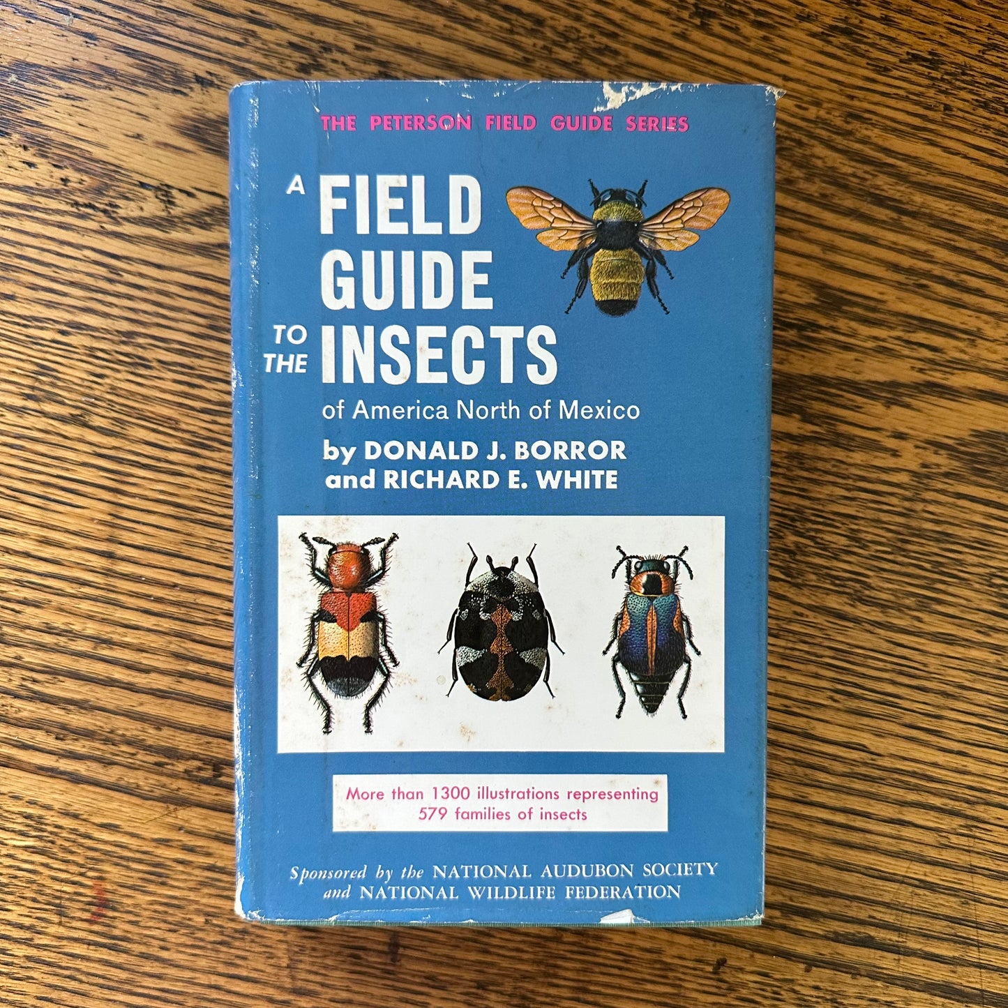 Peterson Field Guide Set of 4: Birds, Insects, Rocks/Minerals - Vintage Nature Books