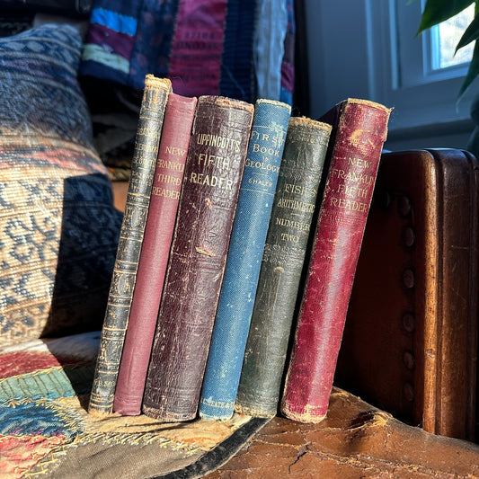 A Collection of 19th Century Schoolbooks