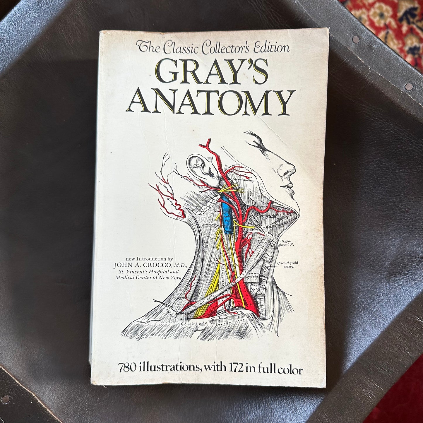 Vintage Gray's Anatomy, 1977 Paperback Edition