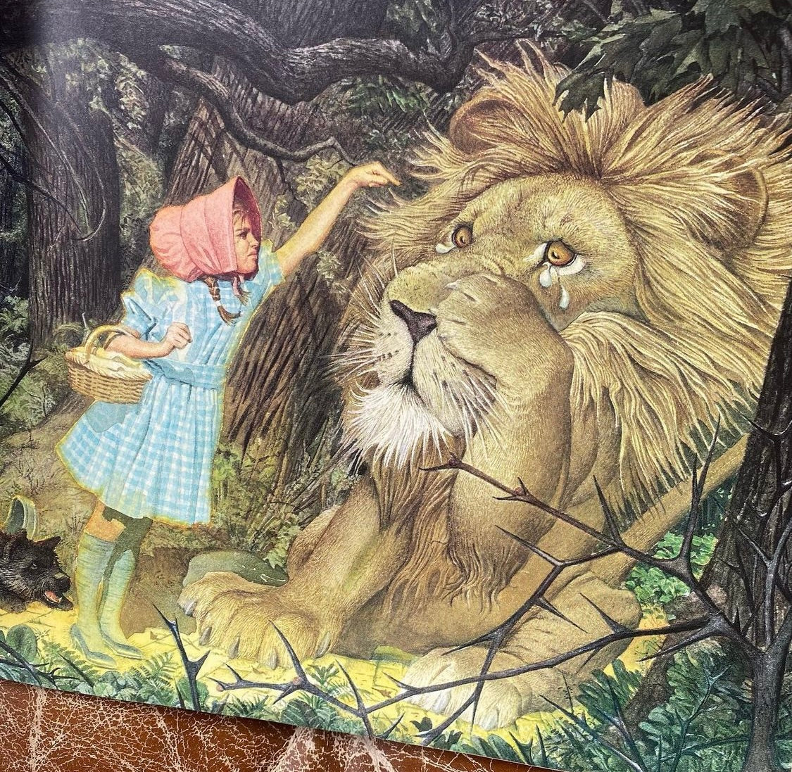 Beautifully Illustrated Wizard of Oz (1991 ed.)