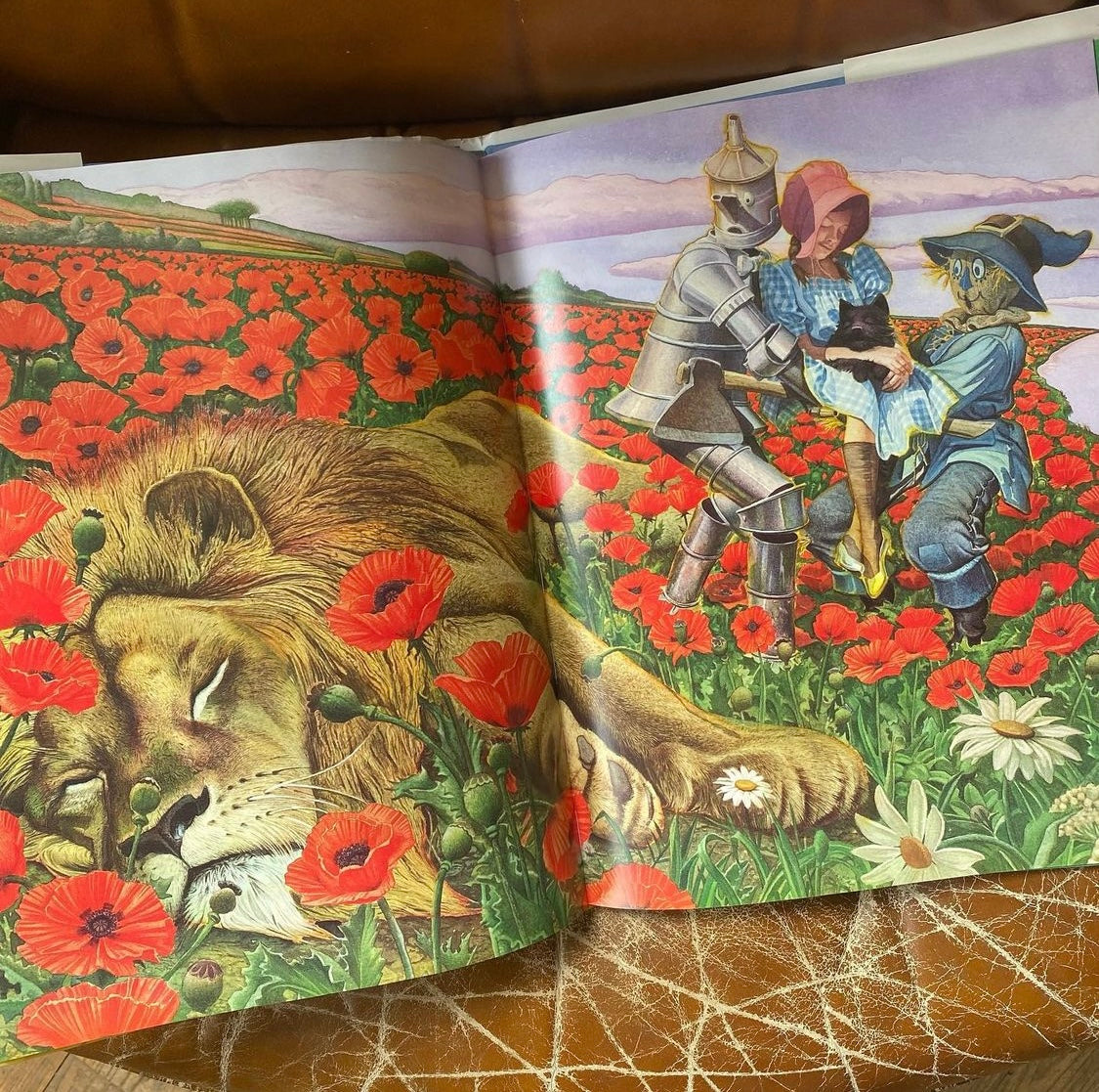 Beautifully Illustrated Wizard of Oz (1991 ed.)